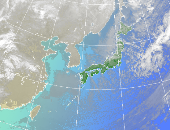 �������`20������ɍX�V����܂��B�q���̏�Ԃɂ���Ă͉摜�����X�V�܂��͗���邱�Ƃ�����܂�